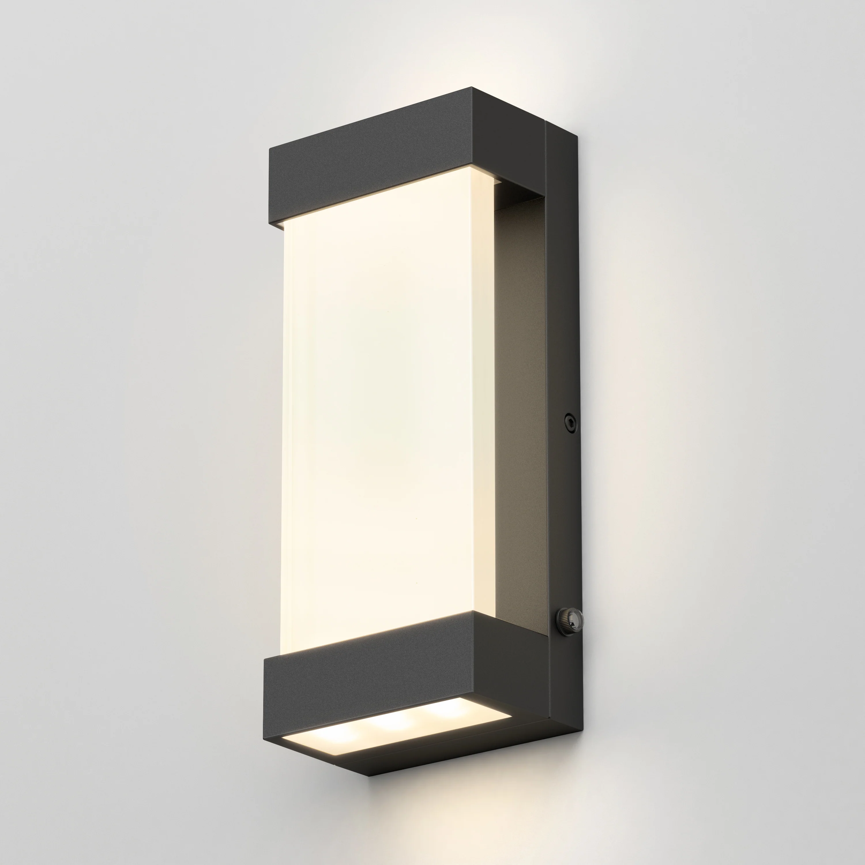 Glacier indoor-outdoor LED wall light