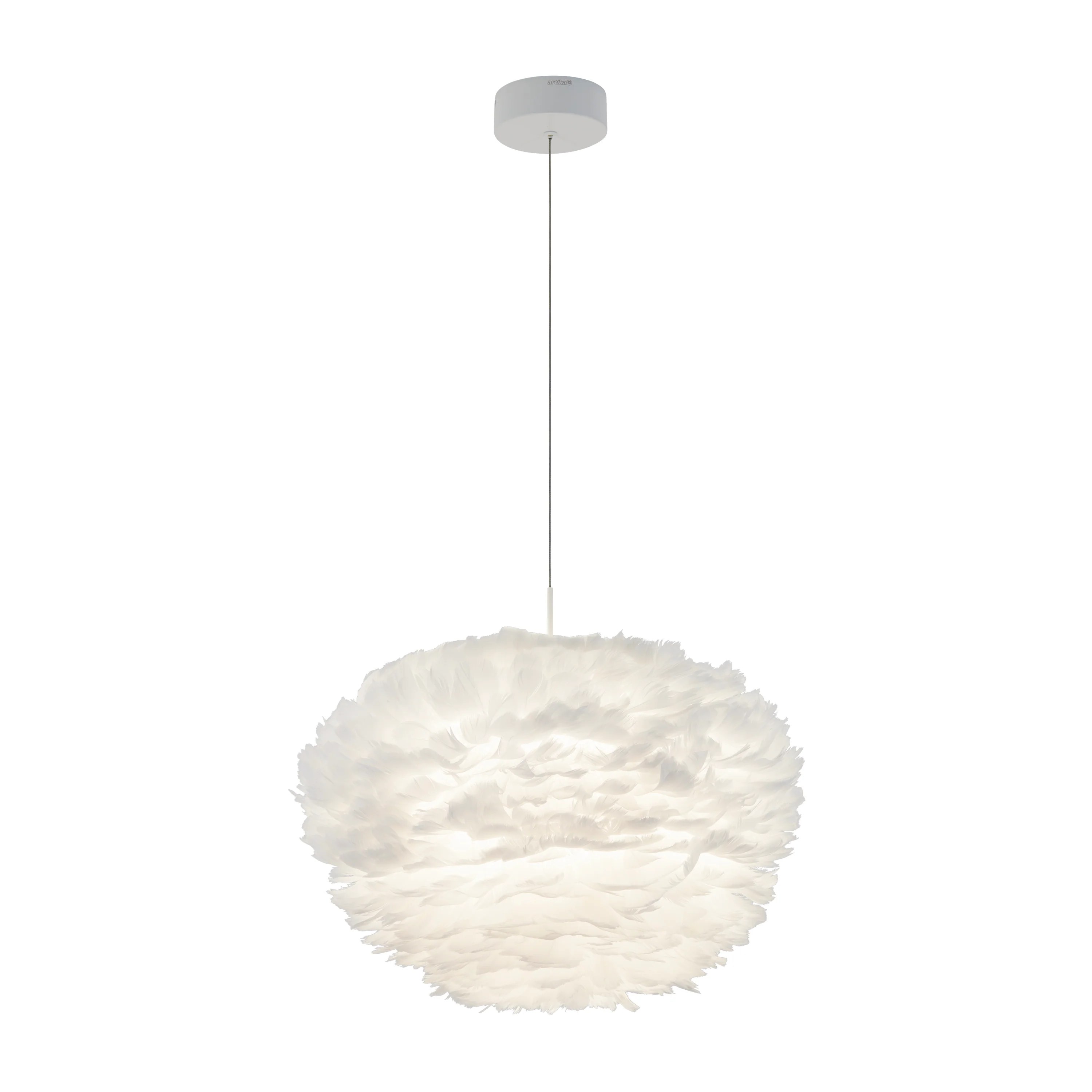 Plume LED pendant light - Image 13