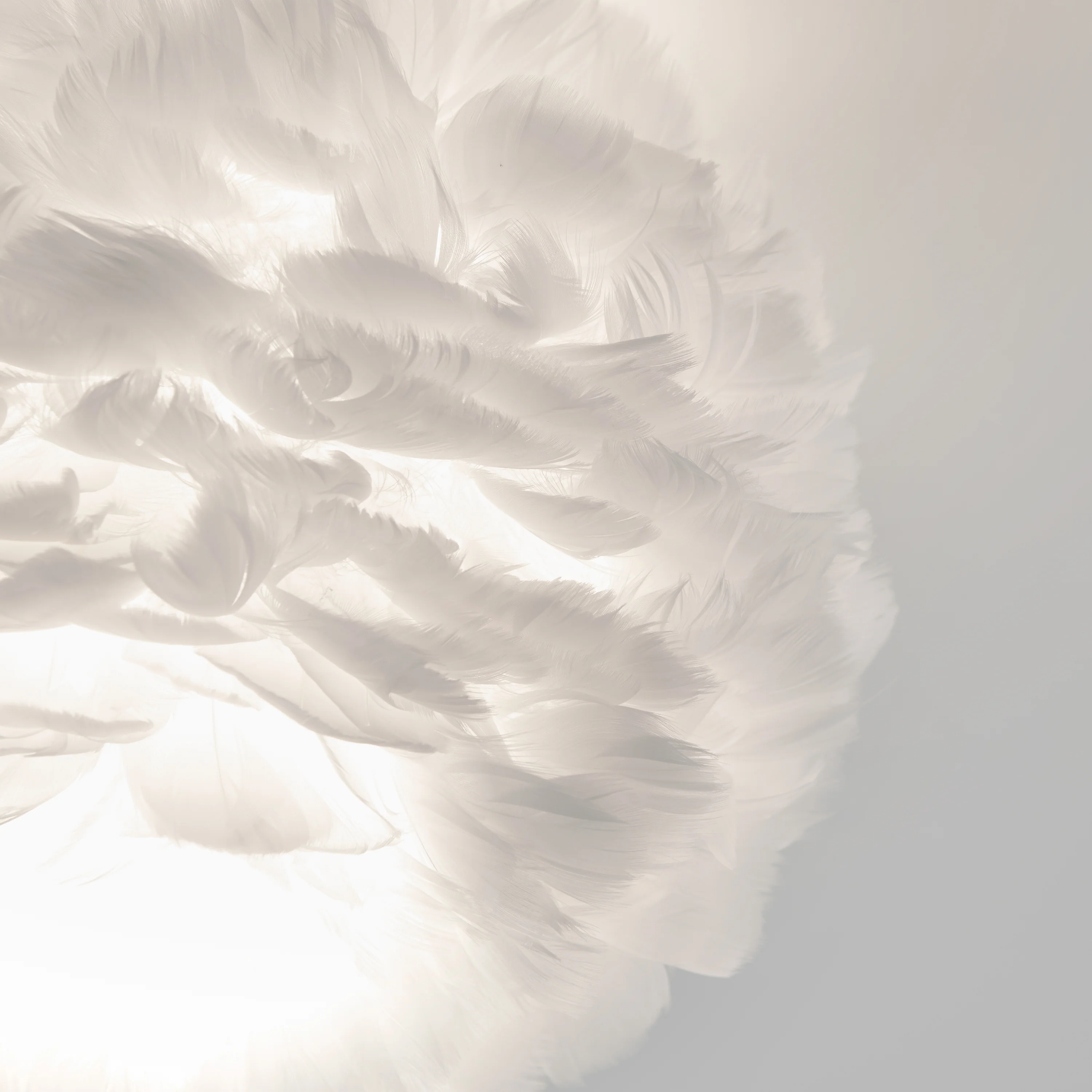 Plume 12 in. (31 cm) Modern LED Flush Mount Ceiling Light - Image 4